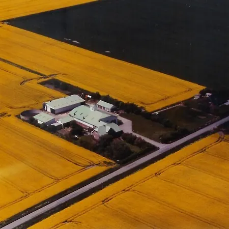 Rungholt Reußenköge